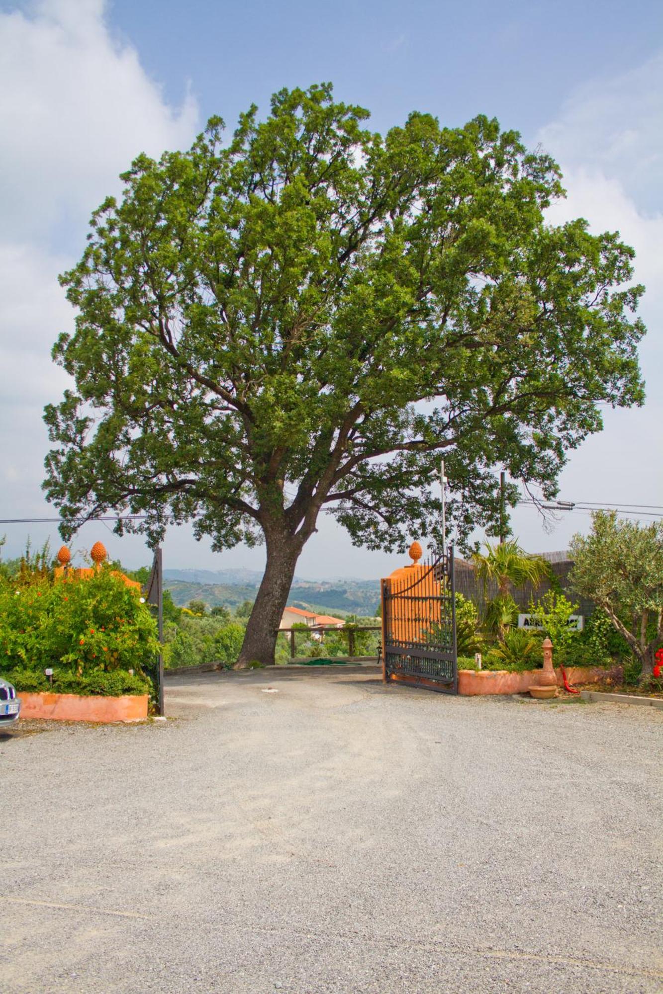 Albergo Arinde Rende Εξωτερικό φωτογραφία