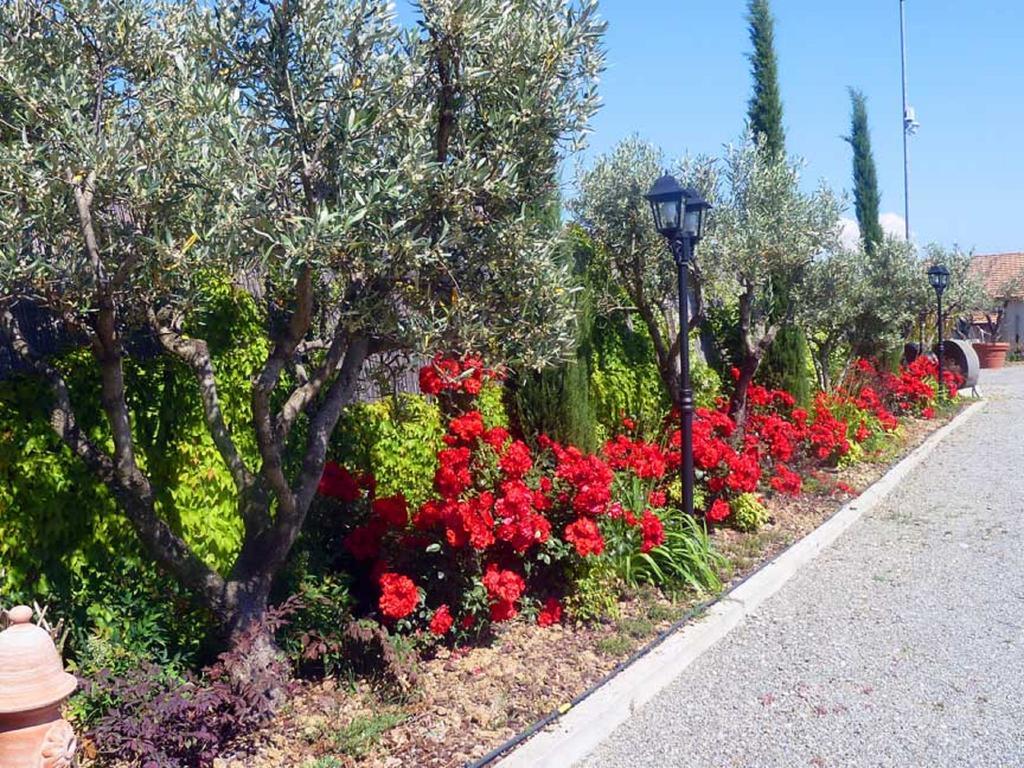 Albergo Arinde Rende Εξωτερικό φωτογραφία
